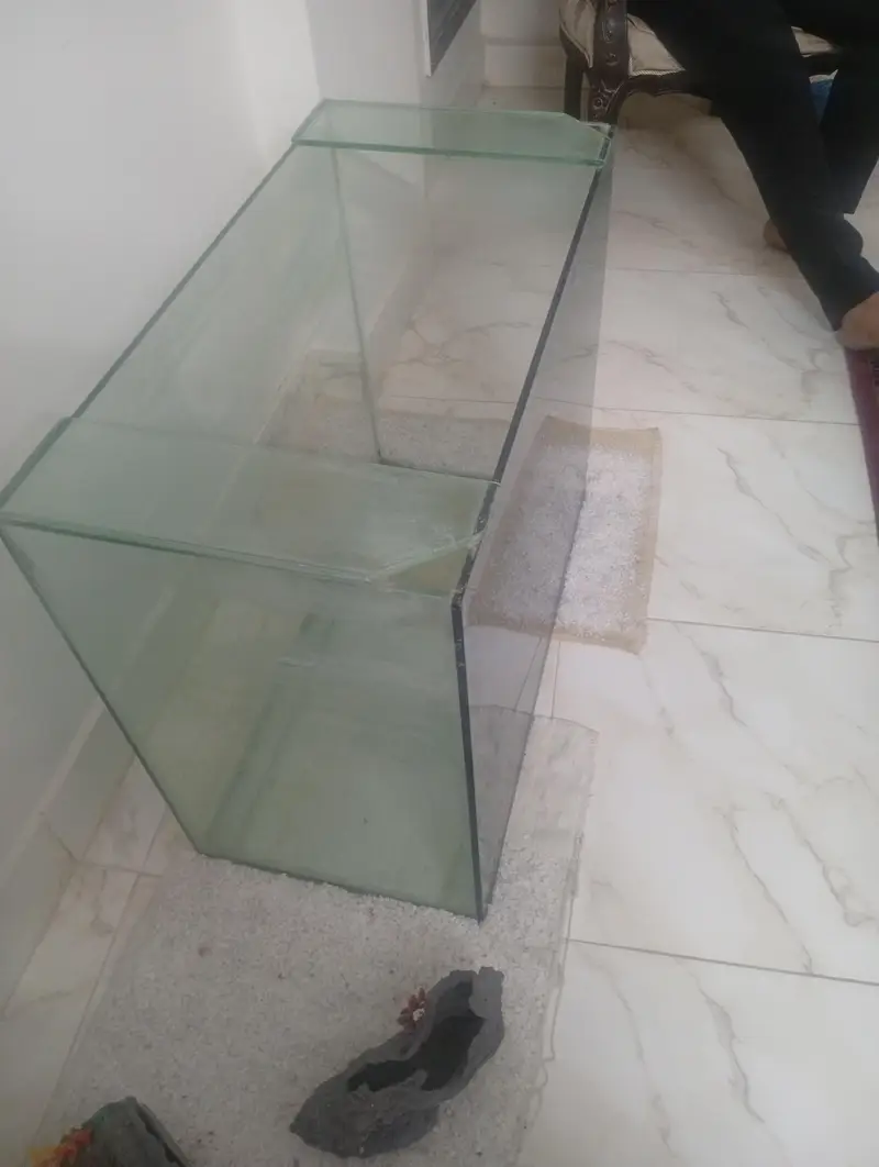 Huge Big Aquarium. — photo 3