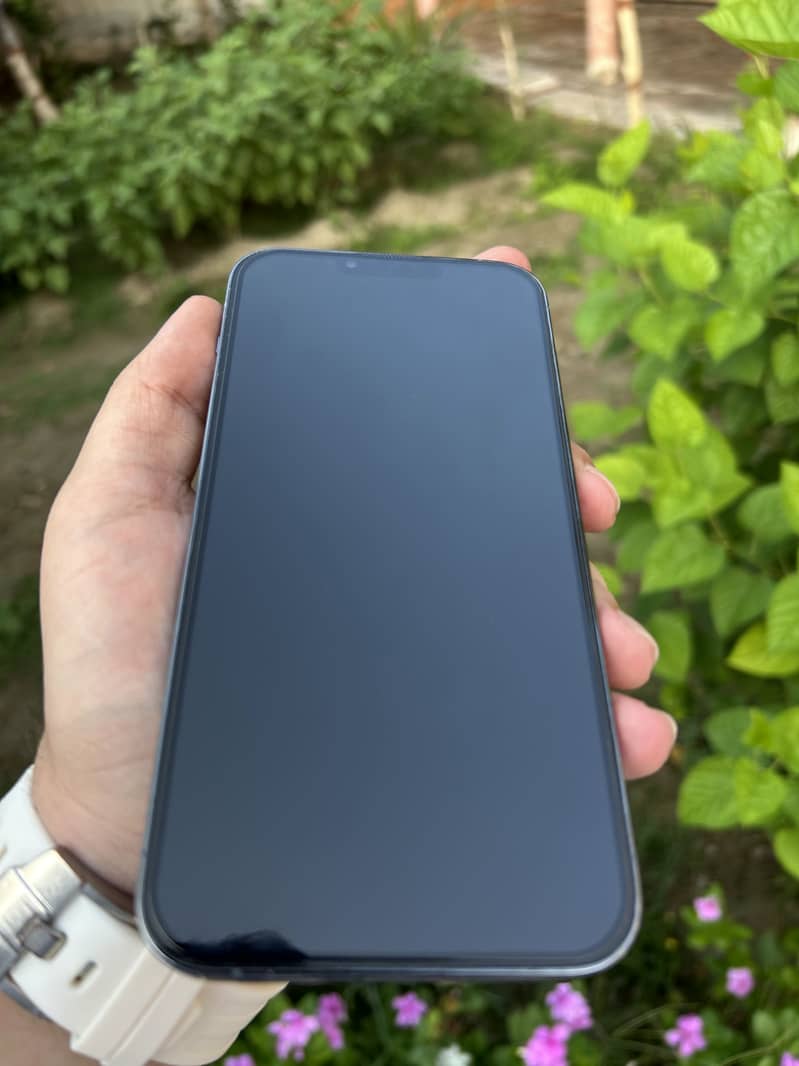 Apple iPhone 13 Pro Max 1