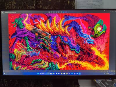 27 inch 1080p LED Display