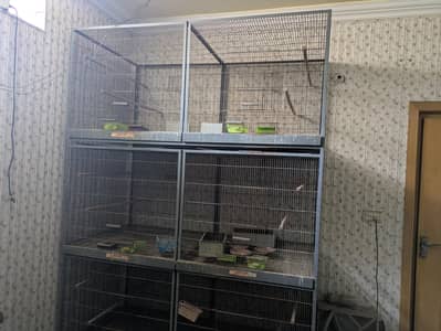 Birds cages