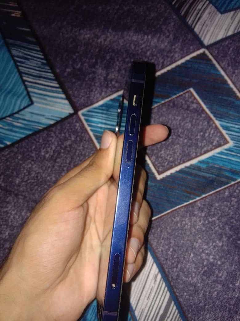 Apple iPhone 12 1