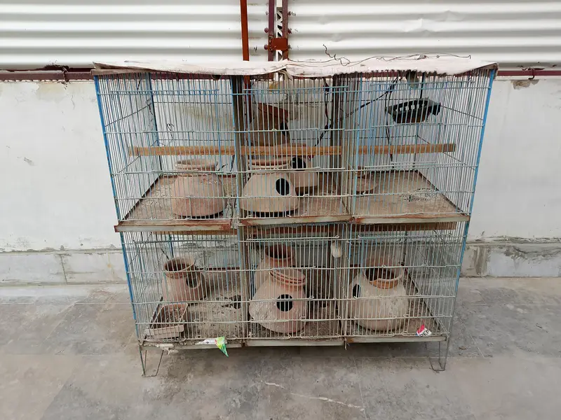 10/10 condition bird's cage