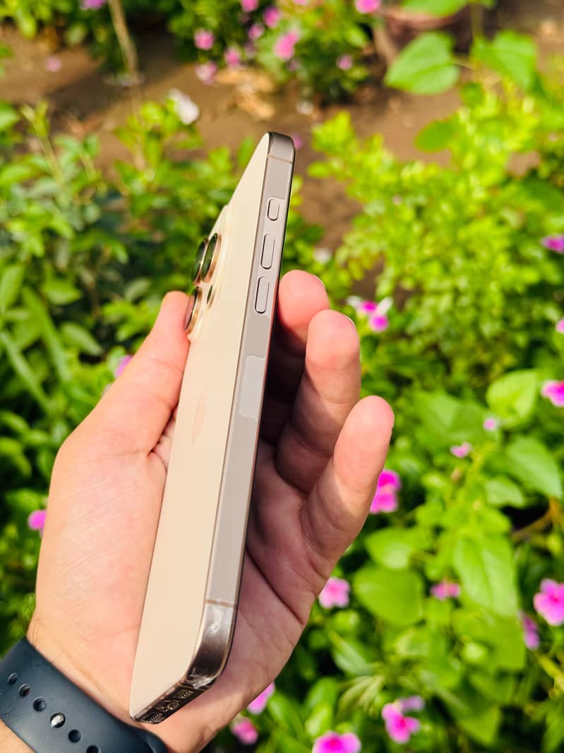 Apple iPhone 16 Pro Max 1
