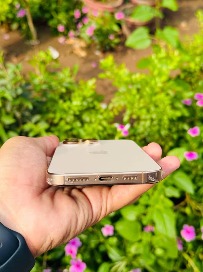 Apple iPhone 16 Pro Max 3