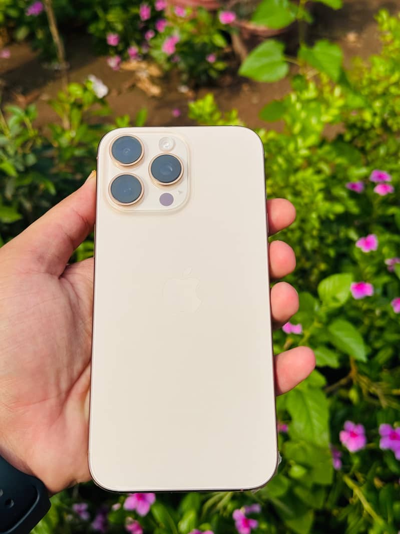 Apple iPhone 16 Pro Max 4