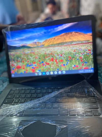 HP CHROMEBOOK 14" DISPLAY