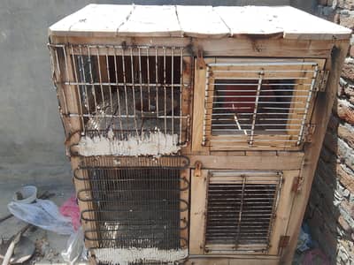 hen cage wooden cage bird