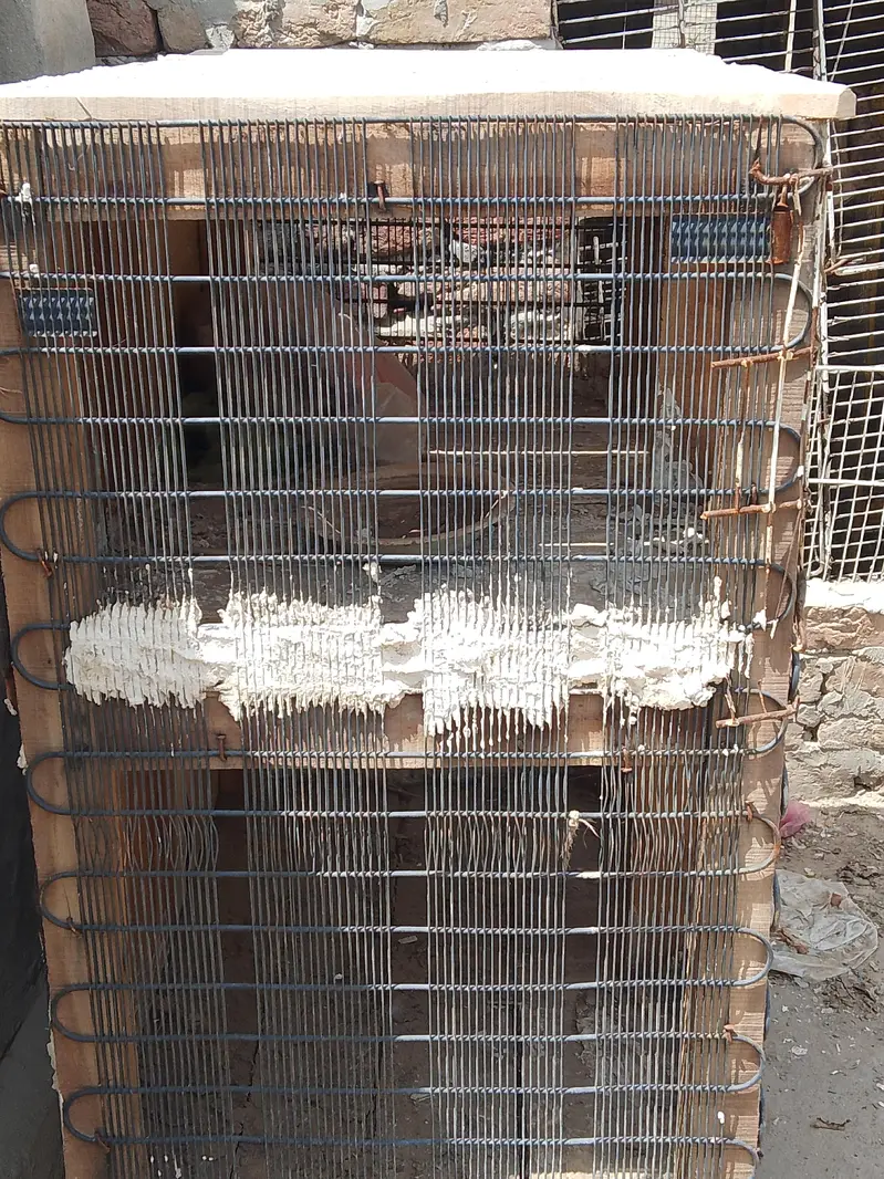 hen cage wooden cage bird — photo 3