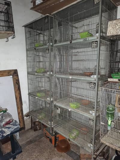 LOVEBIRDS BIRDS CAGE