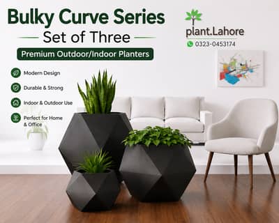 Plants Pots & Gamlay Available | Garden & Home Decoration