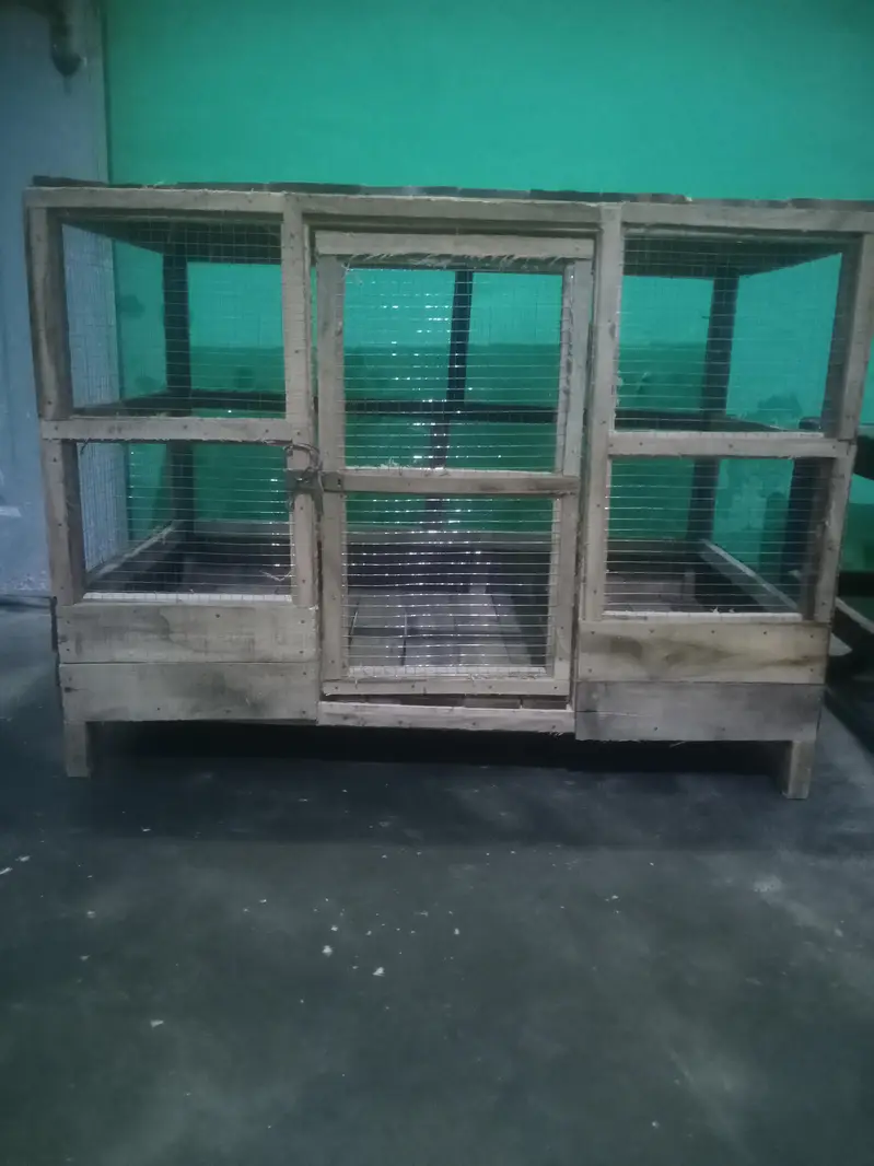Wooden cage for sale