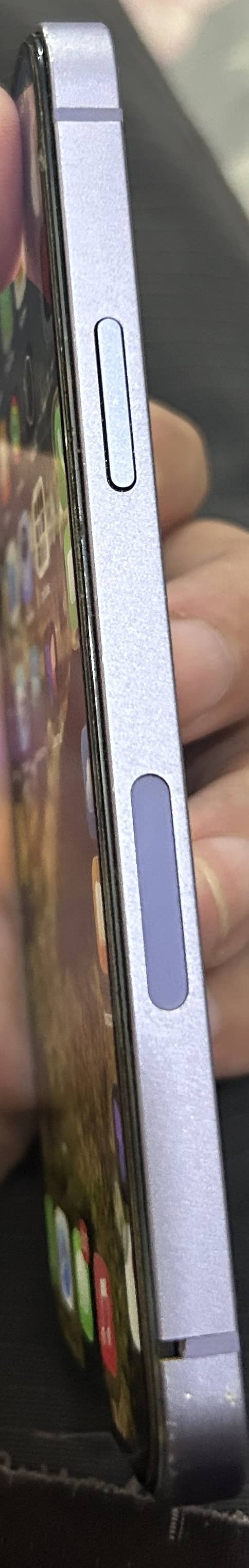 Apple iPhone 12 1