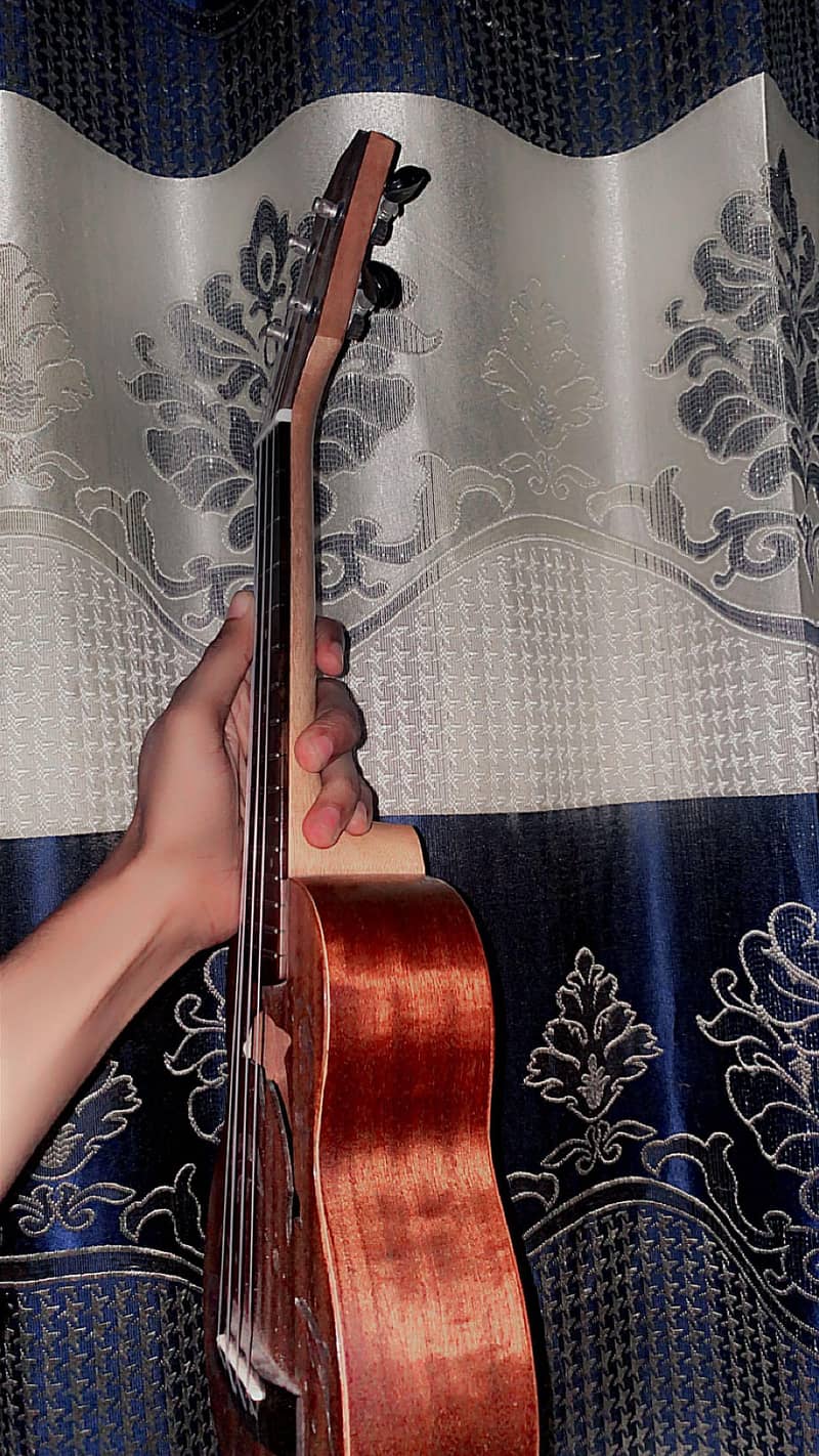 ukulele 3