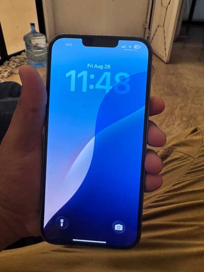 Apple iPhone 13 Pro Max