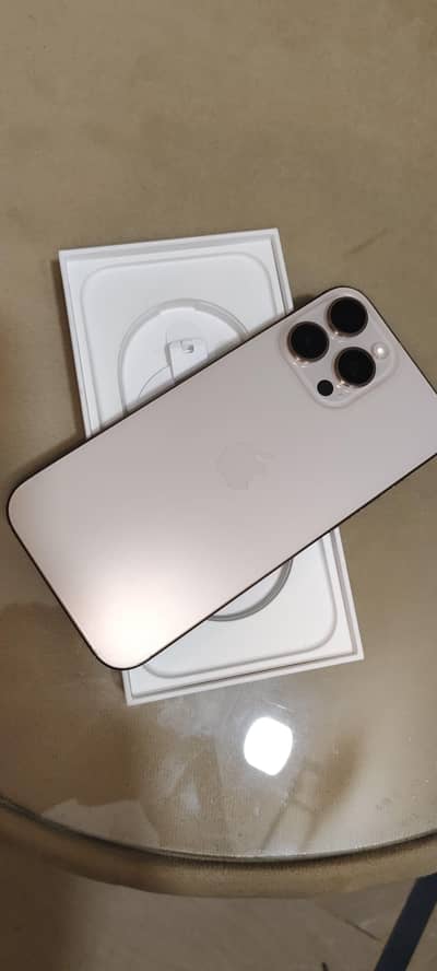 Apple iPhone 16 Pro Max