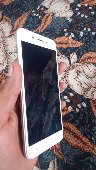 vivo y66 pta approved