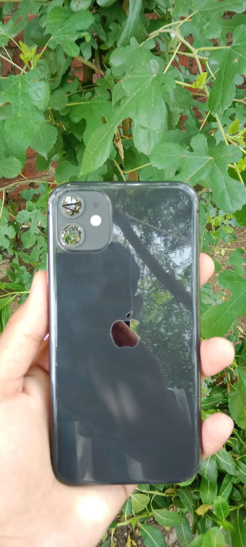 Apple iPhone 11 0