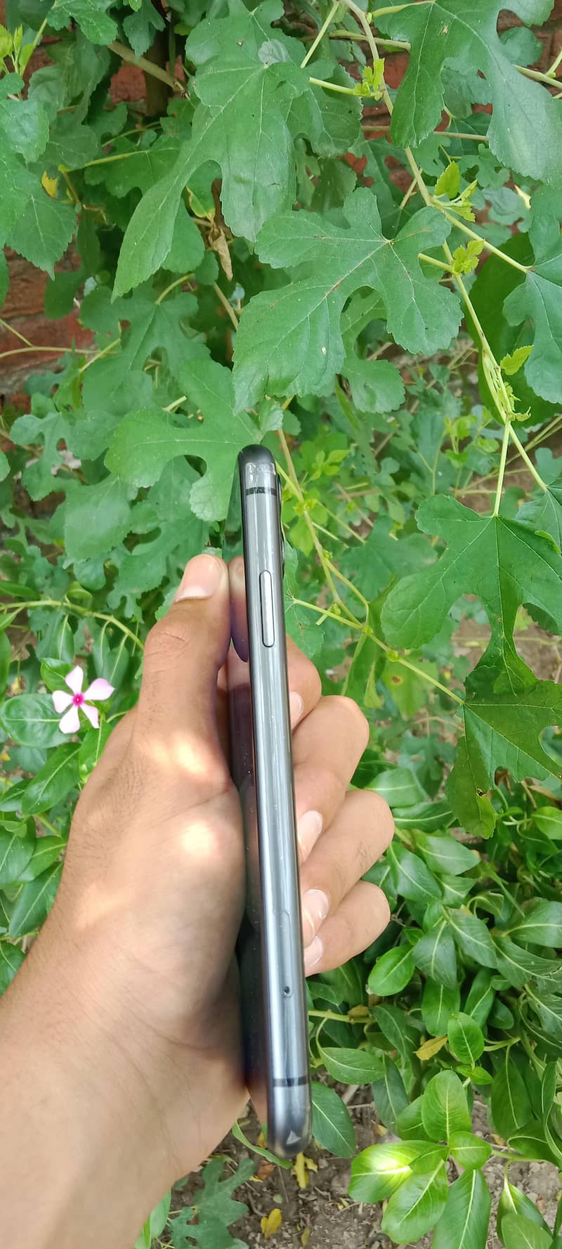Apple iPhone 11 1