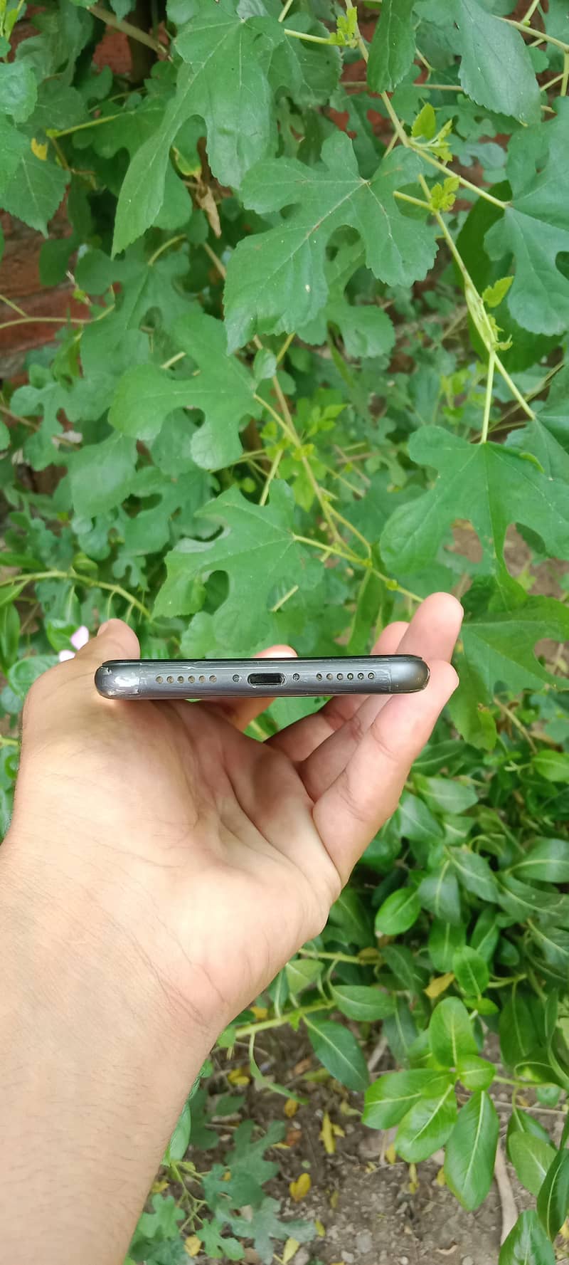 Apple iPhone 11 2