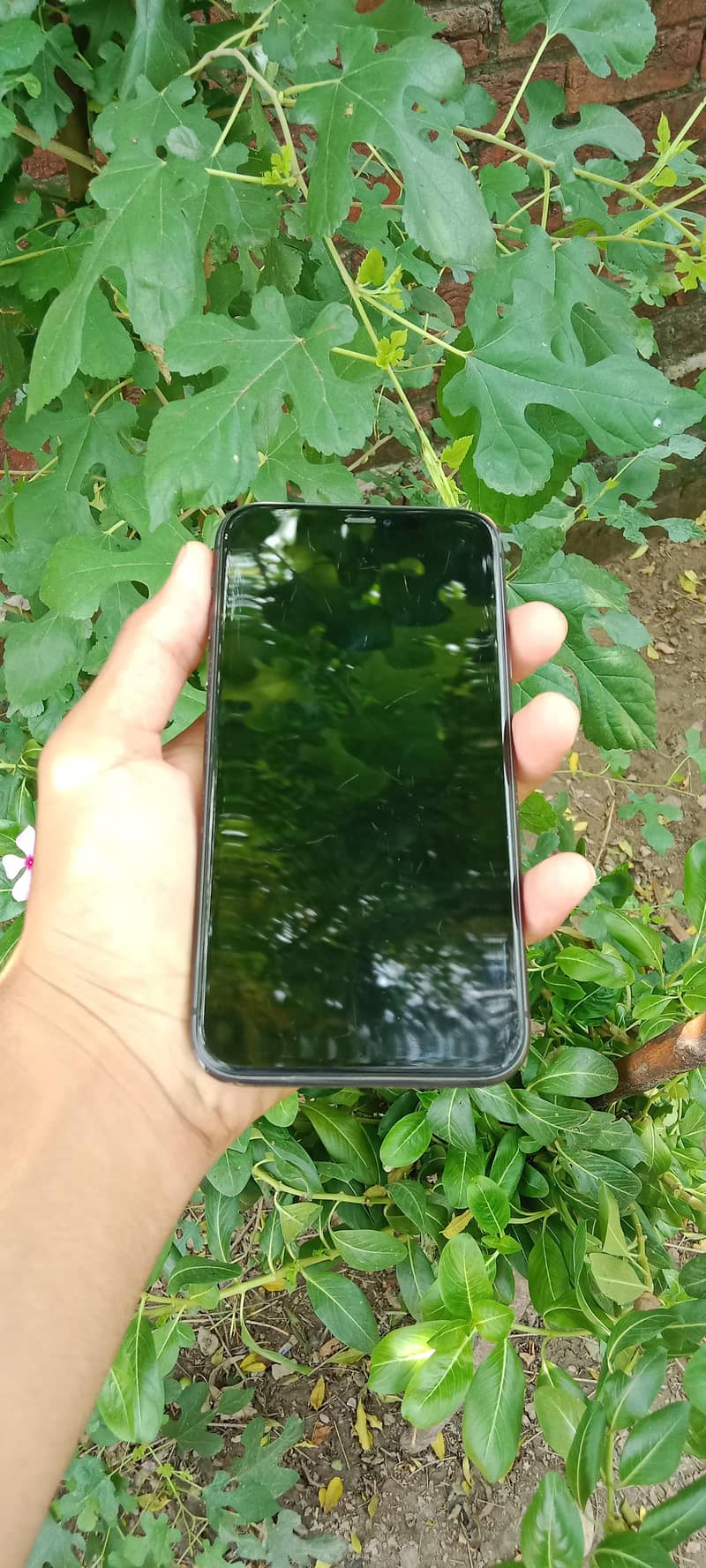 Apple iPhone 11 3