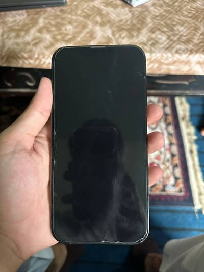 Apple iPhone 13 Pro Max