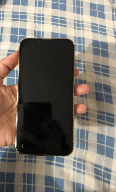 Apple iPhone 13 Pro