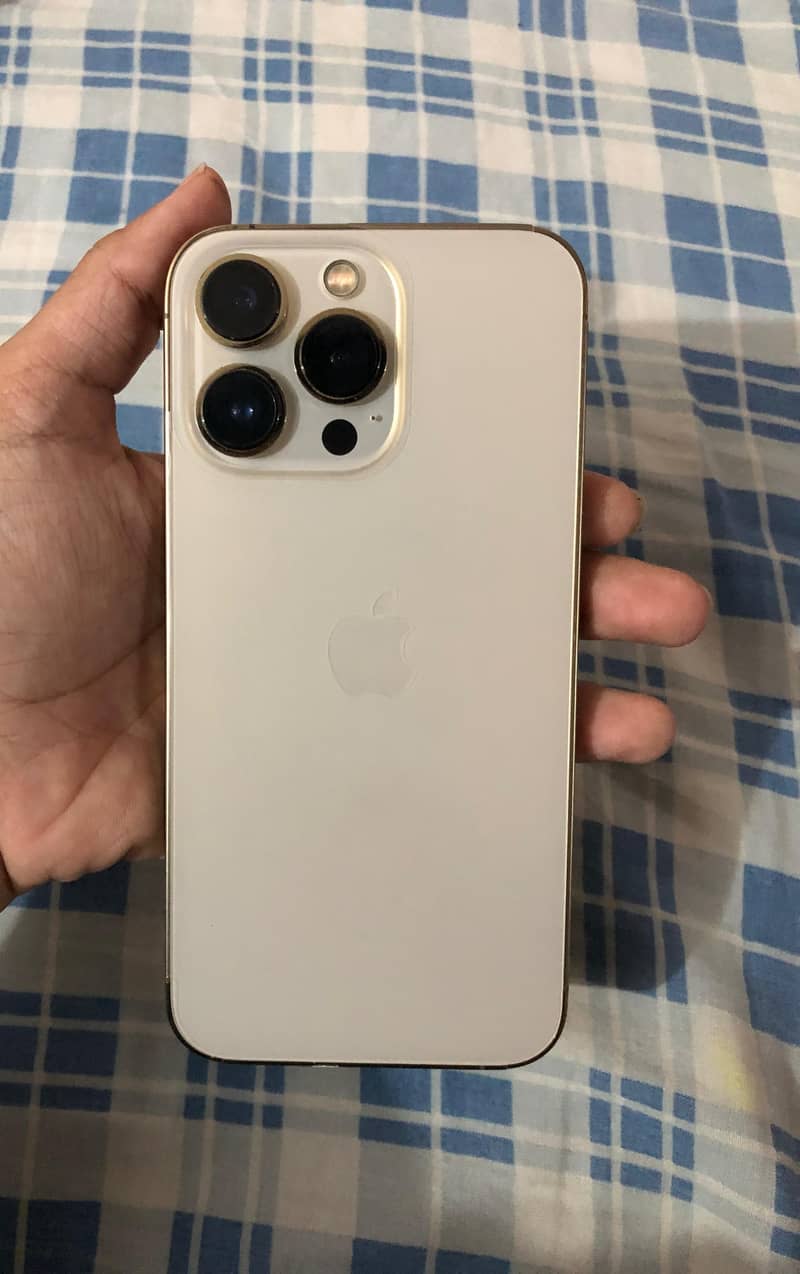 Apple iPhone 13 Pro 1
