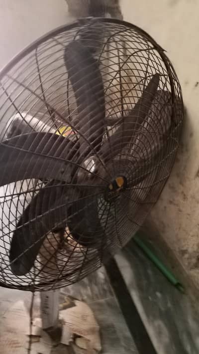Dulance fan