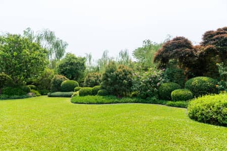 Professional Gardener for your Garden and Farm House