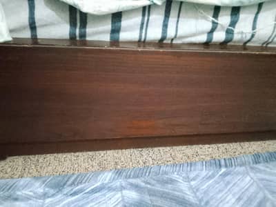 diyar wooden