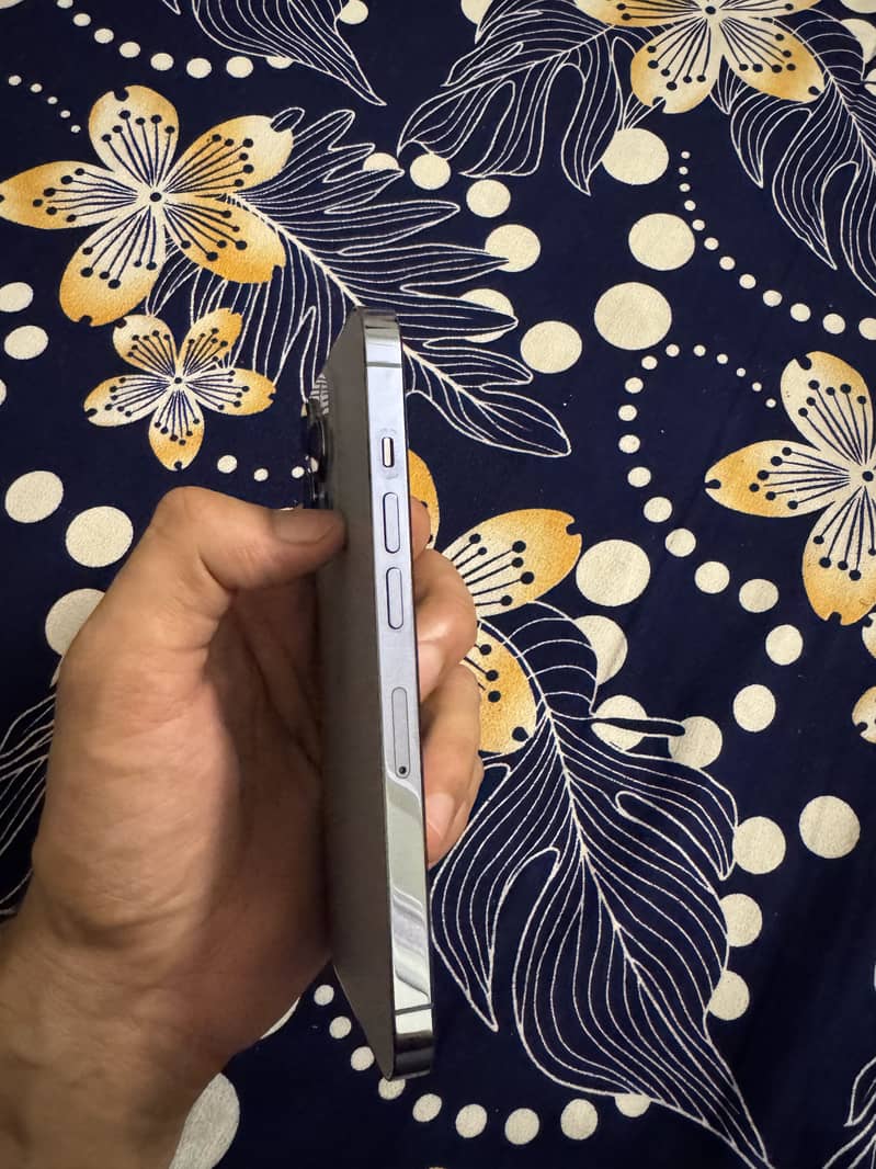 Apple iPhone 13 Pro 4