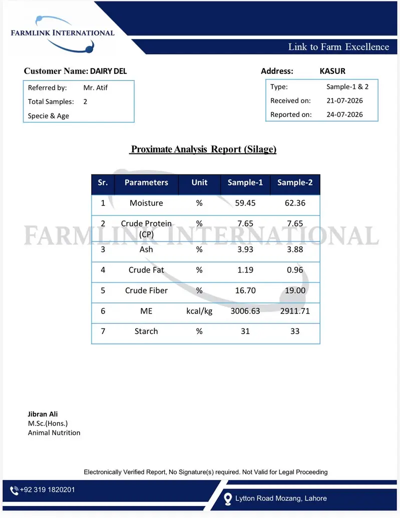 DairyDel Corn Silage (Premium Baharia) — photo 2