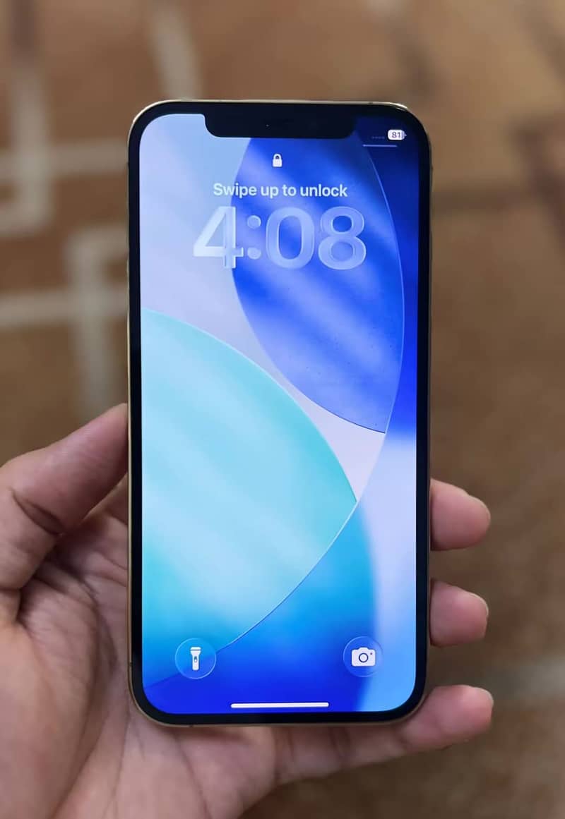 Apple iPhone 12 Pro 1