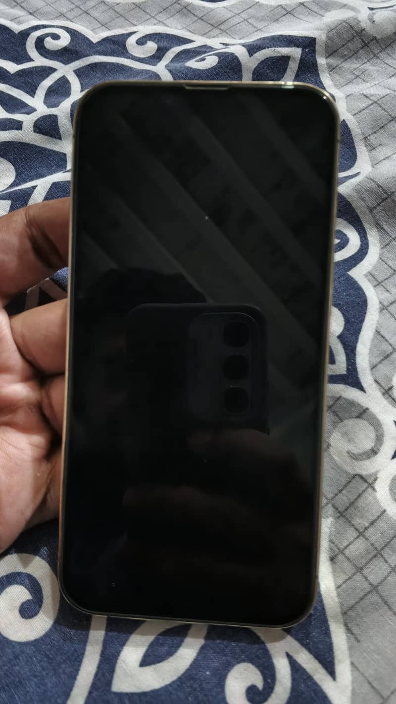 Apple iPhone 13 Pro 0
