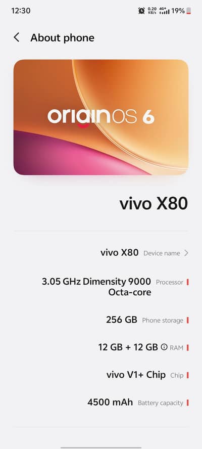 Vivo X80