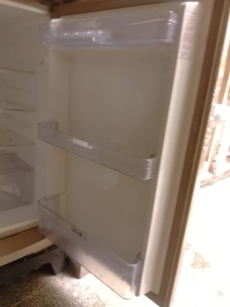 Fridge 1