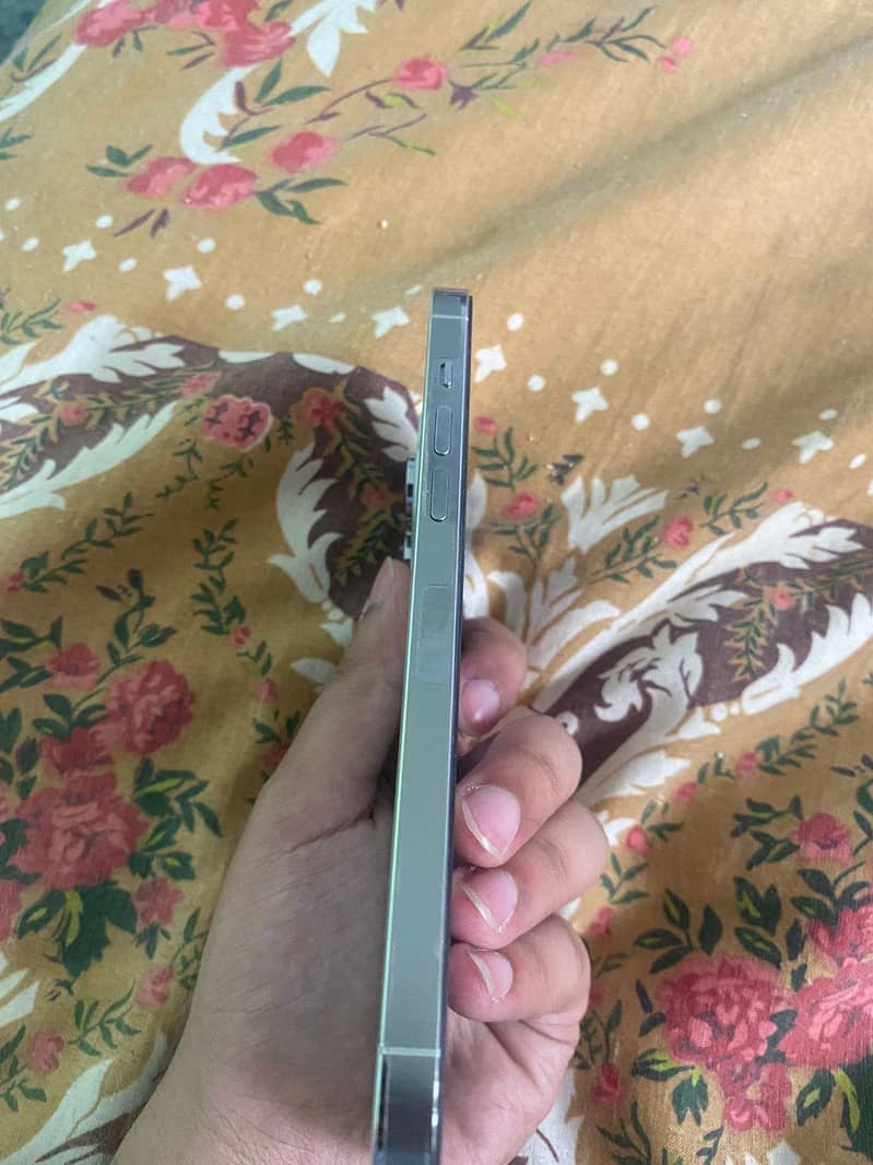 Apple iPhone 14 Pro Max 1
