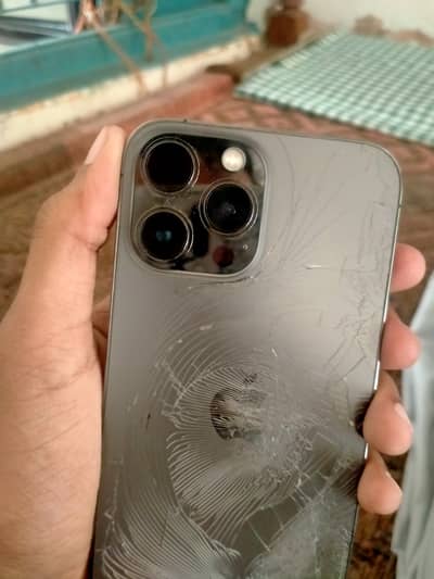 Apple iPhone 13 Pro Max