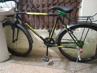Pheonix brand new cycle