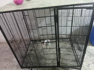 DOG CAGE 3 X 4 X 4