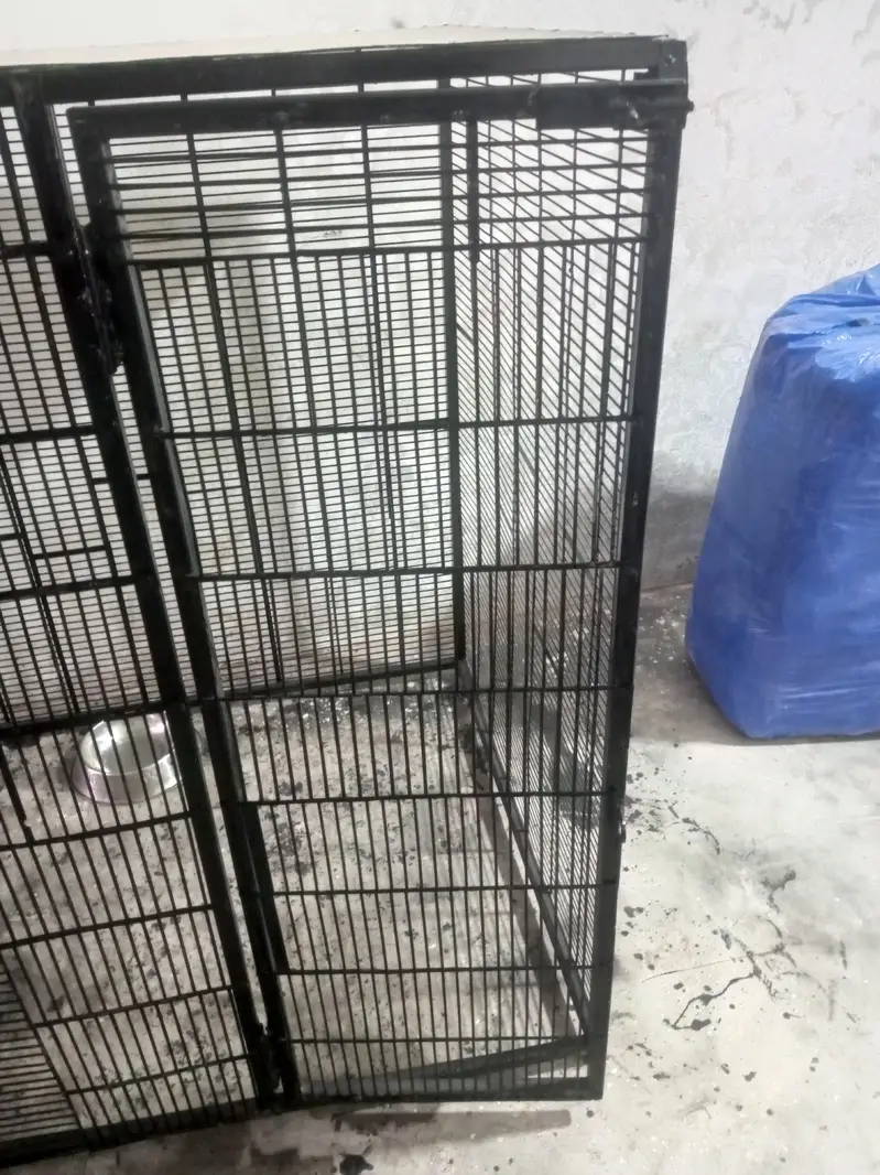 DOG CAGE 3 X 4 X 4 — photo 2