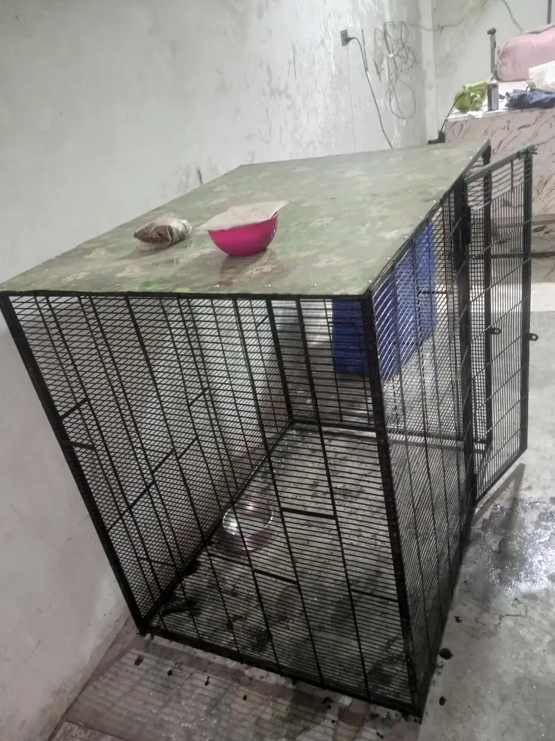 DOG CAGE 3 X 4 X 4 — photo 3
