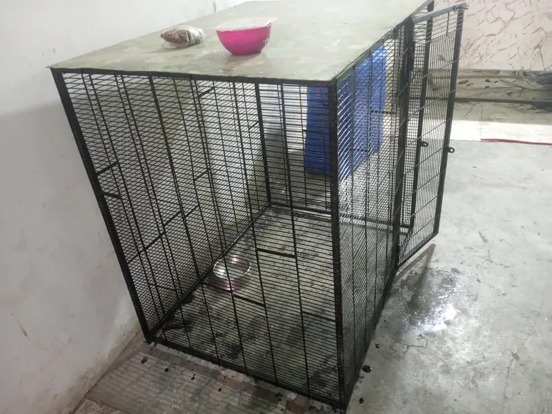 DOG CAGE 3 X 4 X 4 — photo 4