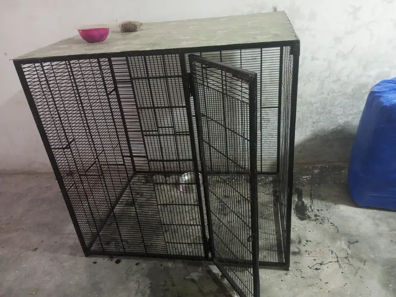 DOG CAGE 3 X 4 X 4 — photo 5