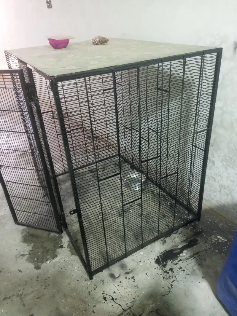 DOG CAGE 3 X 4 X 4 — photo 6