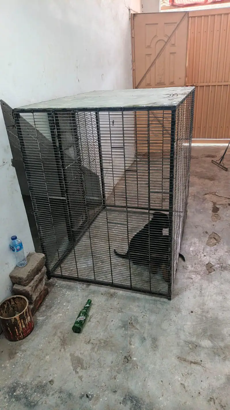 DOG CAGE 3 X 4 X 4 — photo 10