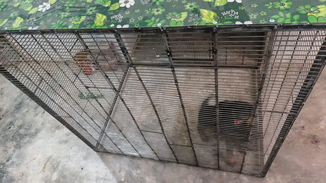 DOG CAGE 3 X 4 X 4 — photo 11