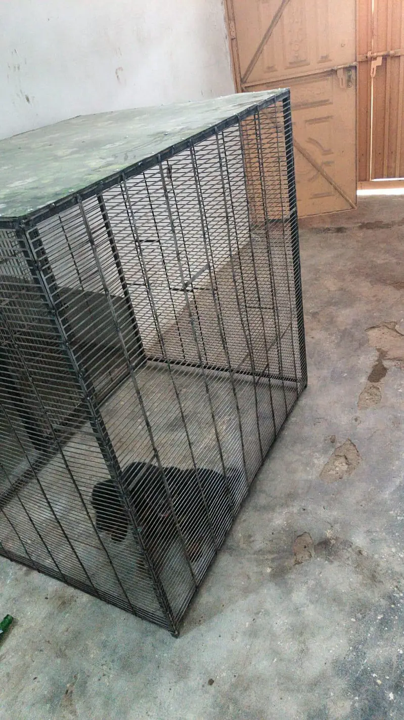 DOG CAGE 3 X 4 X 4 — photo 12