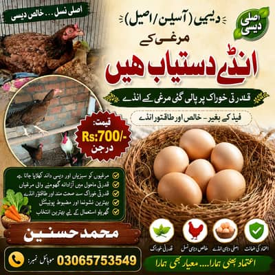 Organic Desi Eggs Available