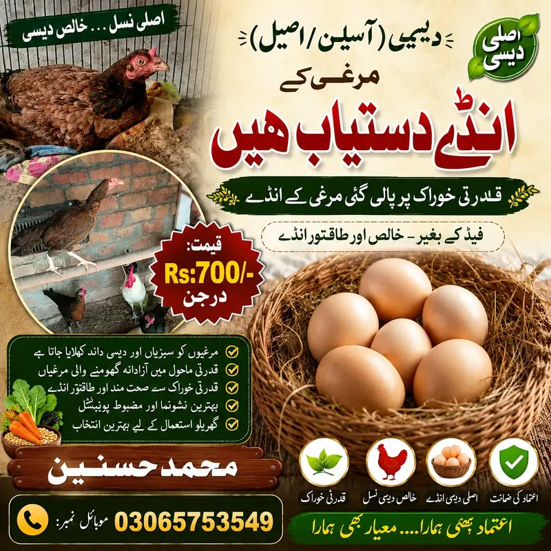 Organic Desi Eggs Available